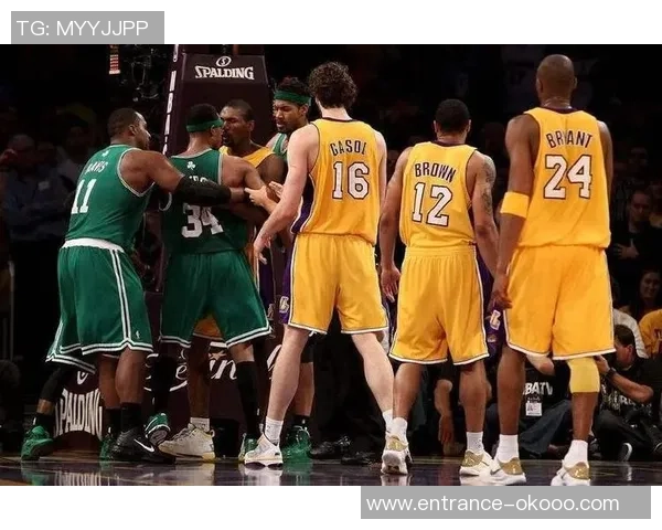 2014年NBA热火与火箭精彩对决回顾及赛季分析