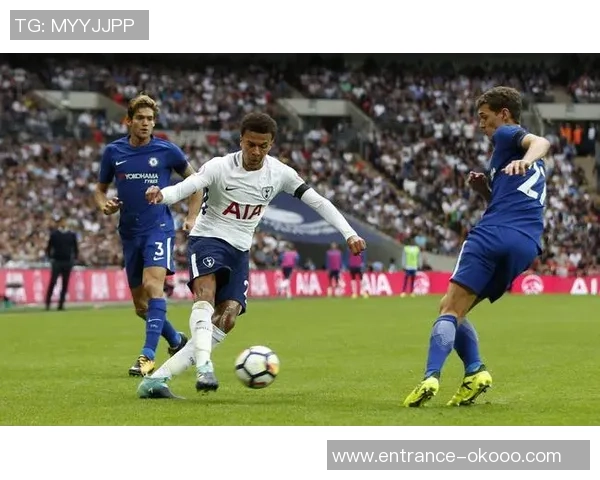 加的夫与热刺的冷热指数分析及比赛前瞻探讨 加的夫与热刺的冷热指数分析及比赛前瞻探讨